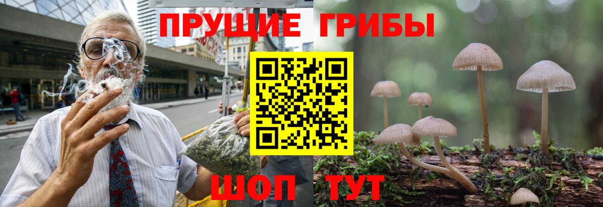 Коркино  Псилоцибиновые грибы Magic Shrooms  Вход с VPN 